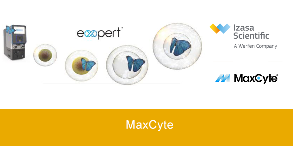 Maxcyte_electroporación_célula